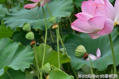 视觉笔记7堂课经典读后感有感