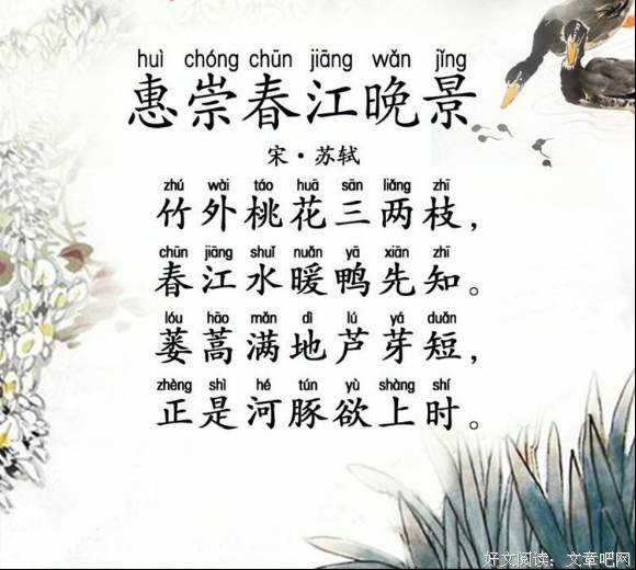 《古诗里的核心词》读后感100字