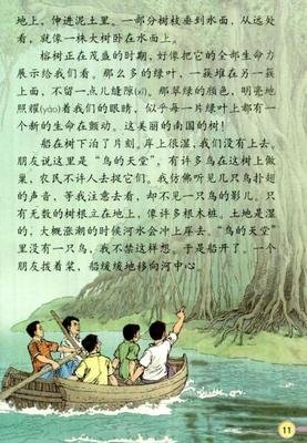 小鸟读后感100字