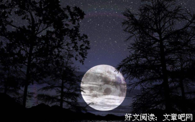万家灯火的名言_关于万家灯火的名言