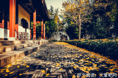 《顺其自然的日子》经典观后感1000字