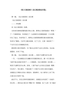《脑中的大象》的读后感大全