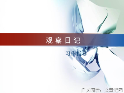 关于适者生存的语句
