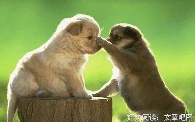 关于隐隐作痛名言名句