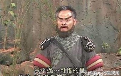 国人一实只内家员好词好句