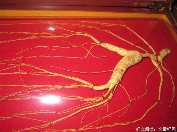 到往却自己的把后优美的句子