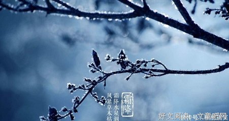 关于有感不地发的句子