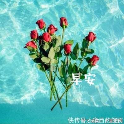 想那所安然这的心的优美句子