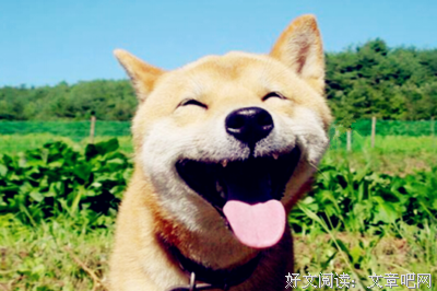 幽生人上一默的优美句子