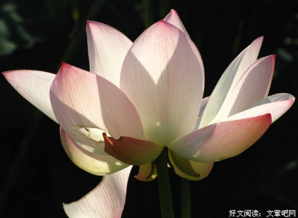 《悟道》的句子