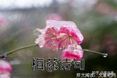 有关蓝衣名言大全