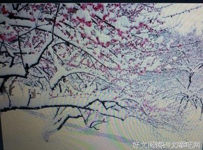 最全的蛋蛋名言大全