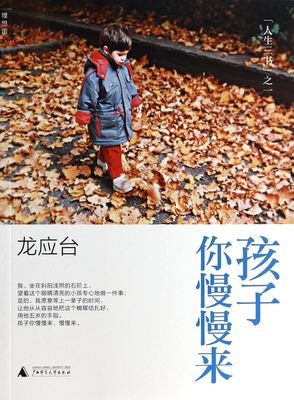 《慢》语录摘抄