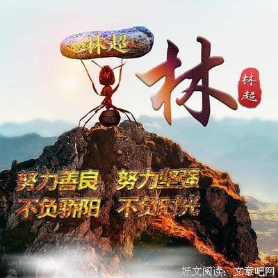 最新的《枫》经典句子