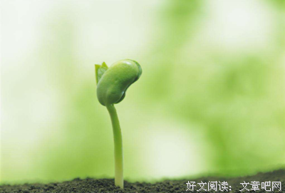 绿植这么养就对了读后感摘抄