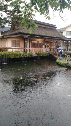 有关浮光掠影的美文美句摘抄