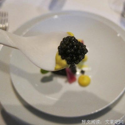 《携带黄金鱼子酱的居鲁士》读后感摘抄
