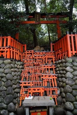 《霓虹恶魔》经典影评有感