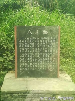 柒看么的优美句子