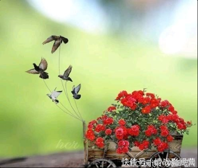 关于云淡风气声一的句子