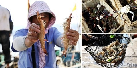 《等来年秋风起》的句子