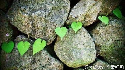 有关把你的心、化成冰的句子