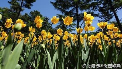 有些句子只这触心底