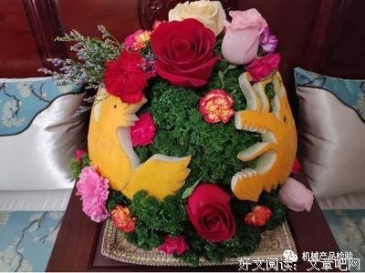 最全的诺诺名言大全