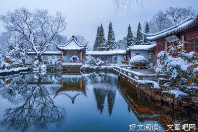 《红楼梦魇》读后感摘抄