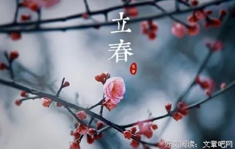 春天，许你一场花开（极美！）