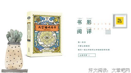 天空猫城奇书读后感1000字