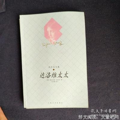 《达洛维太太》读后感精选