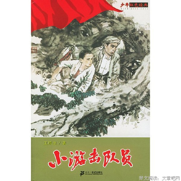 《远行的少年》经典读后感有感