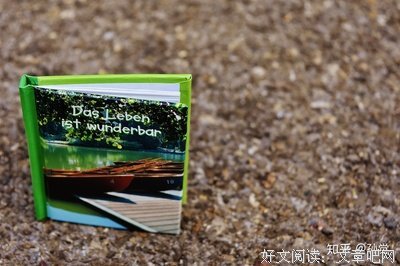 工作的喜与悲读后感100字