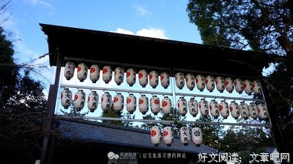 京都24节气花艺日志读后感100字