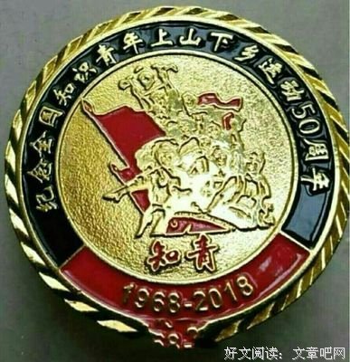 《只有我是17岁的世界》影评摘抄