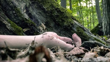 《尸研所 》观后感精选