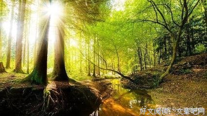 《未完成的夏天》读后感1000字