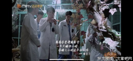 《ABC谋杀案》观后感精选