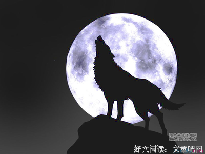 《一往无前》读后感精选