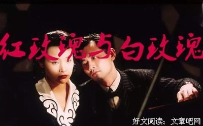 玫瑰战争读后感锦集