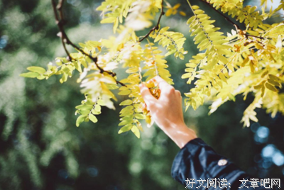 足矣经典的句子