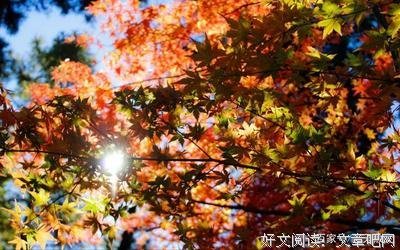 时光荏苒，民格利还发好静好好词好句