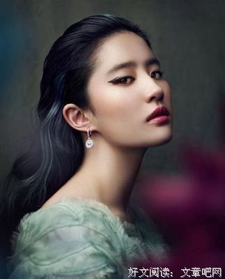 兔子安风看尼优美的句子
