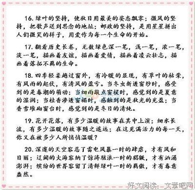 写作文用的句子