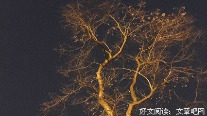 致未来的自己的句子