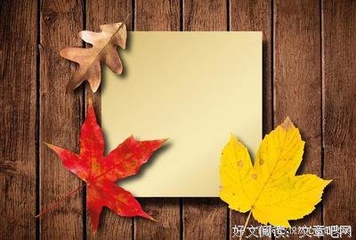 关于随风么后 随才不每别流的优美句子