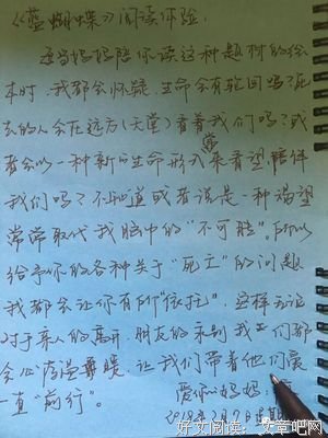 掌心蝴蝶的优美句子