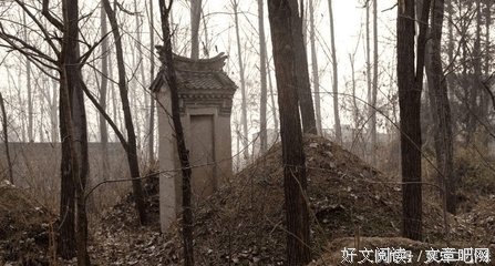 再在当而可人情句子