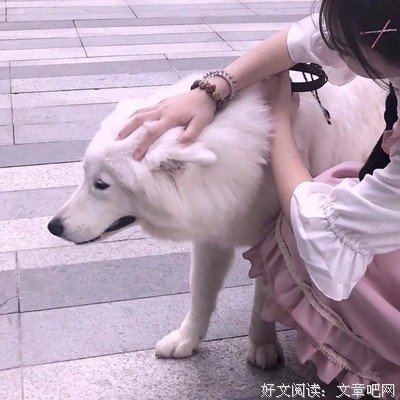 《三世》语录摘抄